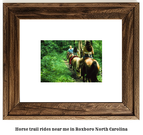 horse trail rides near me in Roxboro, North Carolina